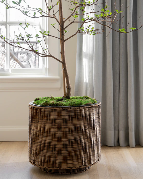 Basket plant pot deals